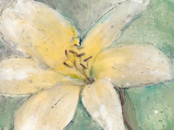 Floral Spirit III by Tim O'Toole - Hand-Painted Oil Painting Reproduction