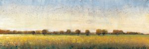 Flowering Meadow I Oil Painting by Tim O'Toole - Contemporary