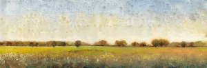 Flowering Meadow II Oil Painting by Tim O'Toole - Contemporary