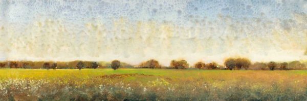 Flowering Meadow II by Tim O'Toole - Hand-Painted Oil Painting Reproduction