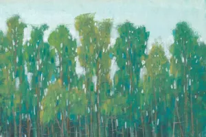Forest Green II Oil Painting by Tim O'Toole - Contemporary