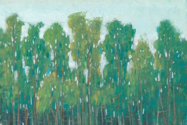 Main Product Photo of Forest Green II Painting by Tim O'Toole