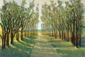 Forest Path by Tim O'Toole Oil Painting