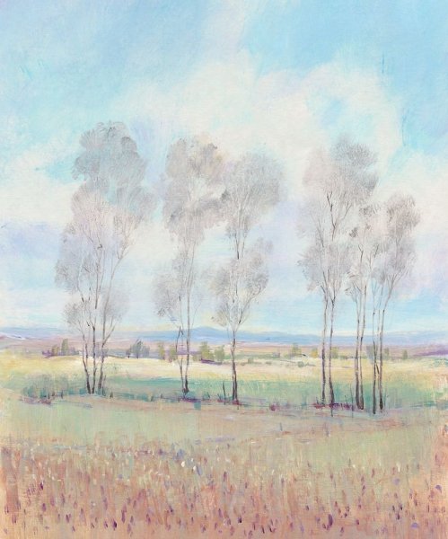 Forever Dreaming I by Tim O'Toole - Hand-Painted Oil Painting Reproduction