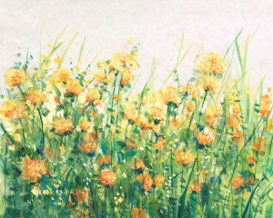 Garden in Bloom IV by Tim O'Toole Oil Painting