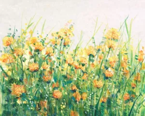 Garden in Bloom IV Oil painting by Tim O'Toole