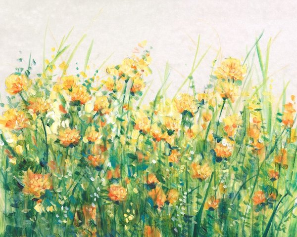 Garden in Bloom IV by Tim O'Toole - Hand-Painted Oil Painting Reproduction