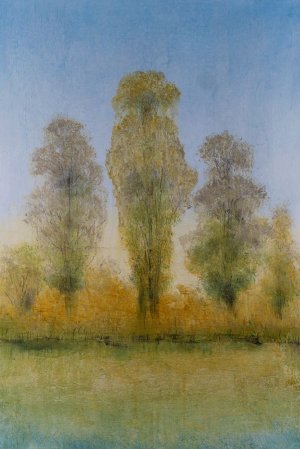 Gilded Trees I by Tim O'Toole Oil Painting
