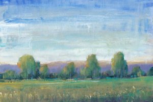 Glen Haven II Oil painting by Tim O'Toole