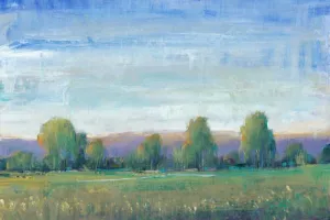 Glen Haven II Oil Painting by Tim O'Toole - Contemporary