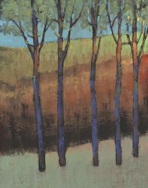 Glimmer in the Forest II by Tim O'Toole Oil Painting