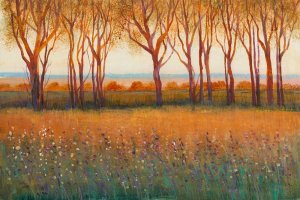 Glow in the Afternoon I by Tim O'Toole Oil Painting