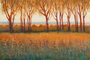 Glow in the Afternoon I Oil painting by Tim O'Toole