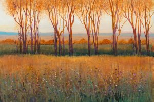 Glow in the Afternoon II by Tim O'Toole Oil Painting