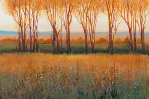 Glow in the Afternoon II by Tim O'Toole Oil Painting