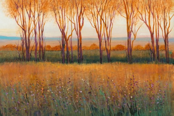 Main Product Photo of Glow in the Afternoon II Painting by Tim O'Toole