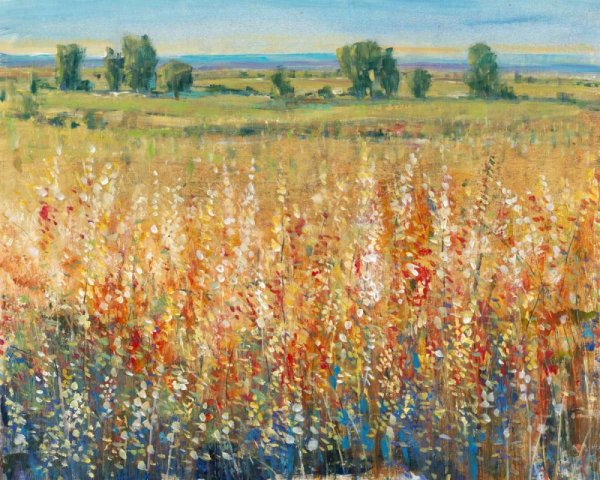 Gold and Red Field II by Tim O'Toole - Hand-Painted Oil Painting Reproduction