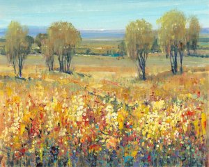 Golden Fields II by Tim O'Toole Oil Painting