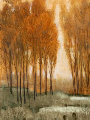 Golden Forest II Oil Painting by Tim O'Toole - Contemporary