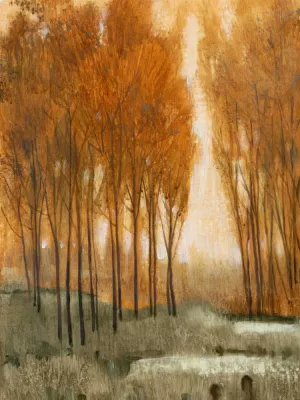 Golden Forest II Oil Painting by Tim O'Toole - Contemporary