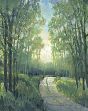 Golden Light Pathways II by Tim O'Toole Oil Painting