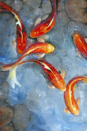 Graceful Koi II by Tim O'Toole Oil Painting