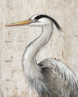 Grey Heron II by Tim O'Toole Oil Painting
