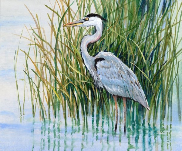 Heron in the Marsh II by Tim O'Toole - Hand-Painted Oil Painting Reproduction