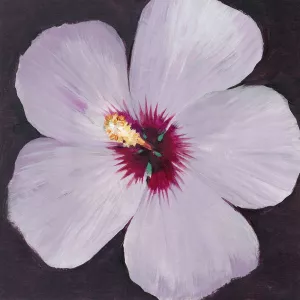 Hibiscus Portrait I by Tim O'Toole Oil Painting