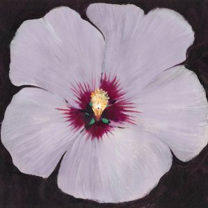Hibiscus Portrait II by Tim O'Toole Oil Painting