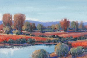 Hidden Creek I by Tim O'Toole Oil Painting