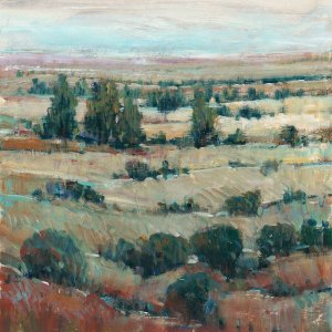 High Country Scene I by Tim O'Toole Oil Painting
