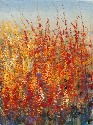 High Desert Blossoms II by Tim O'Toole Oil Painting
