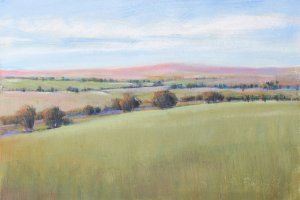Hill Country II by Tim O'Toole Oil Painting