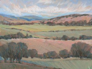 Hilly Countryside I by Tim O'Toole Oil Painting