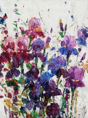 Iris Blooming I by Tim O'Toole Oil Painting