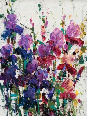 Iris Blooming II by Tim O'Toole Oil Painting