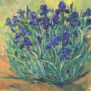 Irises in Bloom I by Tim O'Toole Oil Painting