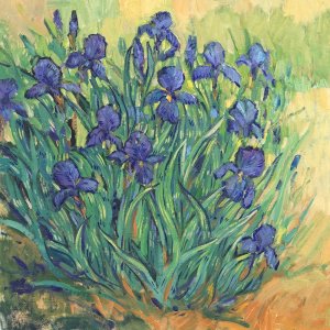 Irises in Bloom II by Tim O'Toole Oil Painting