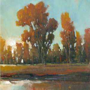 Late Afternoon Fall by Tim O'Toole Oil Painting