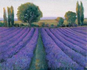 Lavender Field II by Tim O'Toole Oil Painting