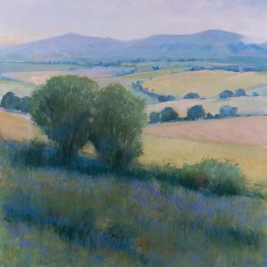 Lavender Hillside I Oil painting by Tim O'Toole