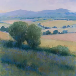 Lavender Hillside I Oil Painting by Tim O'Toole - Contemporary