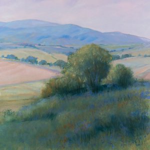 Lavender Hillside II by Tim O'Toole Oil Painting