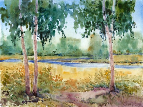 Main Product Photo of Luminous Meadow I Painting by Tim O'Toole