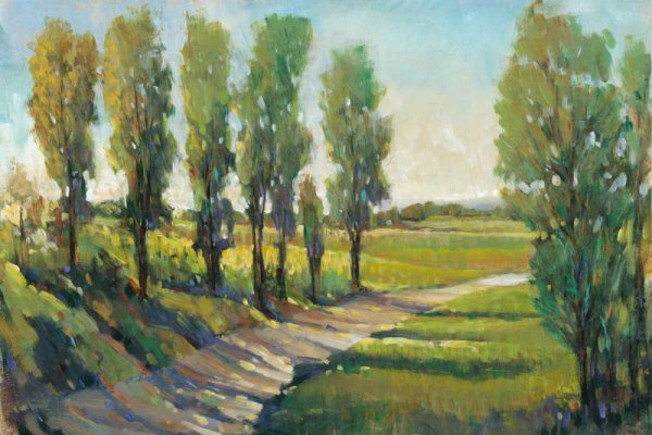 Lush Landscape I by Tim O'Toole - Hand-Painted Oil Painting Reproduction
