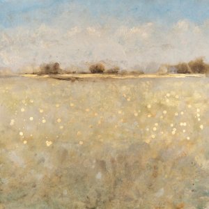 Meadow Plane I by Tim O'Toole Oil Painting
