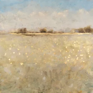 Meadow Plane I by Tim O'Toole Oil Painting