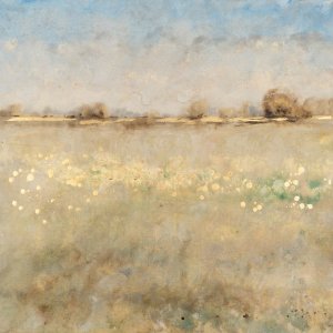 Meadow Plane II by Tim O'Toole Oil Painting