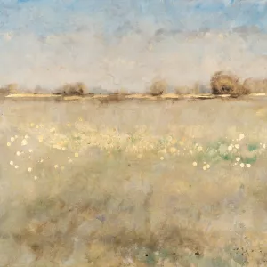 Meadow Plane II Oil Painting by Tim O'Toole - Contemporary
